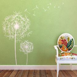 Interior Decoration ideas & pictures