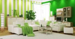 Interior Decoration ideas & pictures