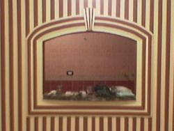 Interior Decoration ideas & pictures
