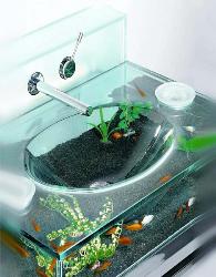 Interior Decoration ideas & pictures
