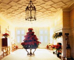 Interior Decoration ideas & pictures