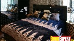 Interior Decoration ideas & pictures