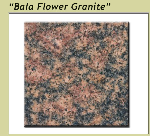 Company : Flooring : India Granit Bal Flowe Granite