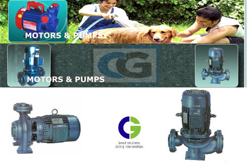 Company : Drainage , Sanitary System and Plumbing : Crompton Greaves Water Pump