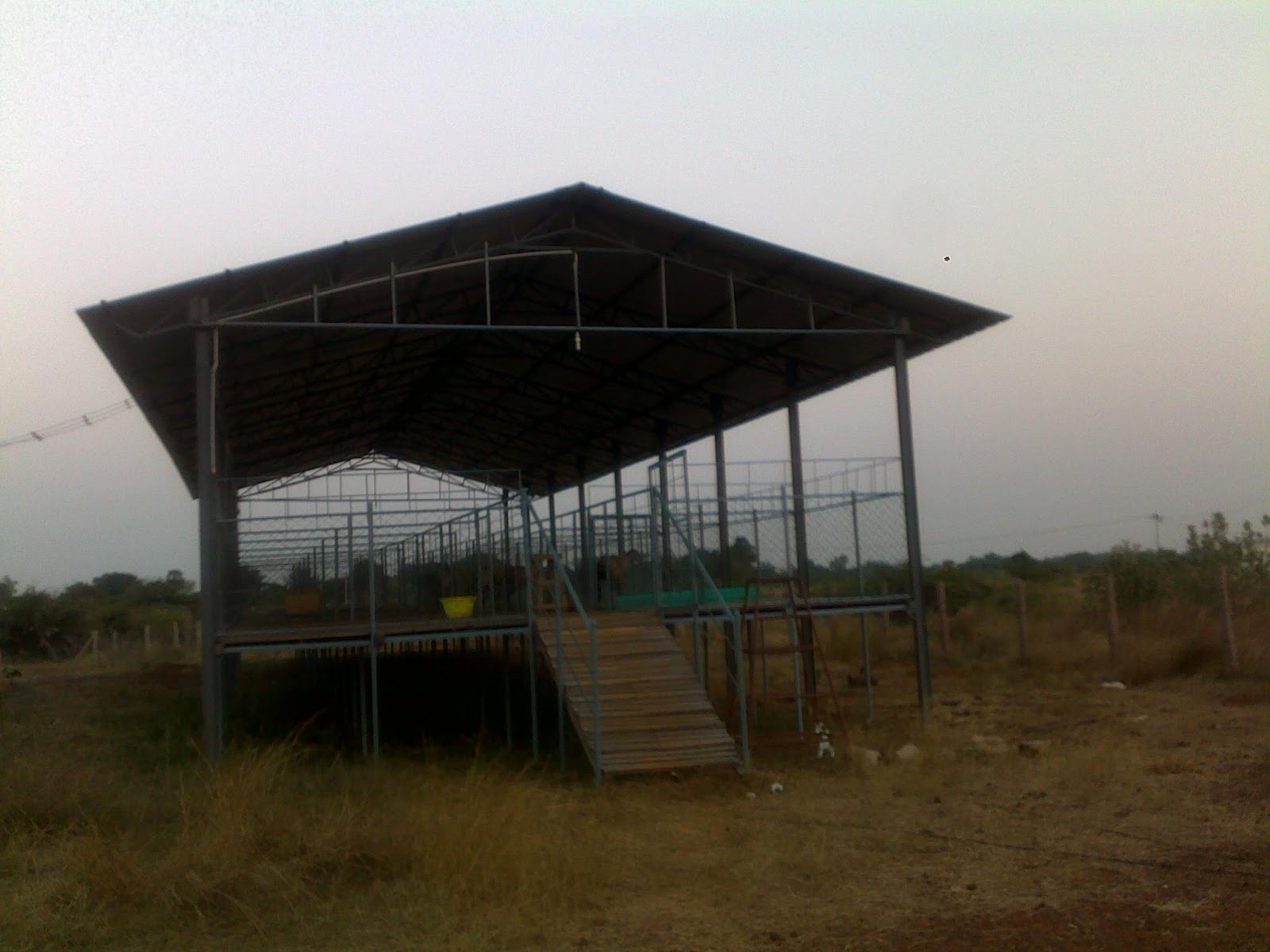 construction of sheep and goat shed stall fed for