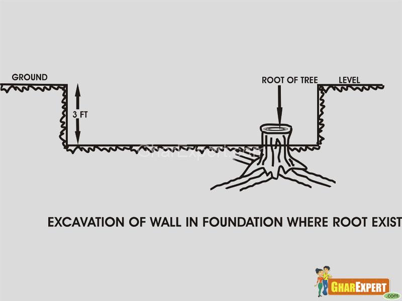 Foundation of building-roots in soil