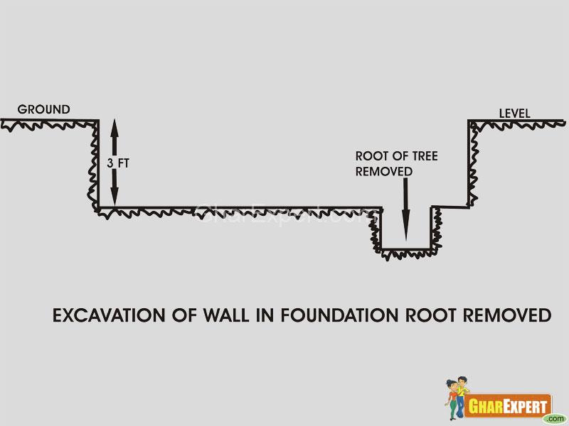 Foundation of building- remove roots from soil Foundation of building- remove roots from soil
