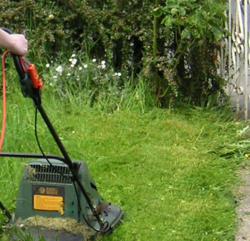 lawn mowing Lawn mowing