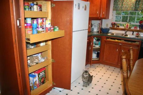 Pull-out drawers in kitchen