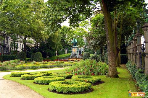 Lawn Care Tips Lawn Care Tips