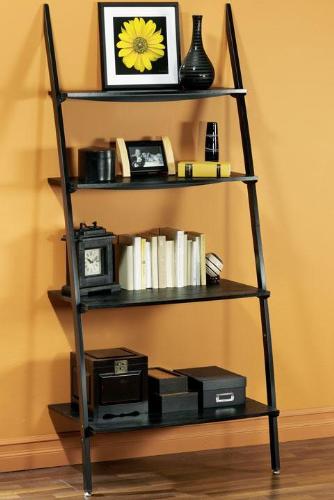 Ladder Bookcase