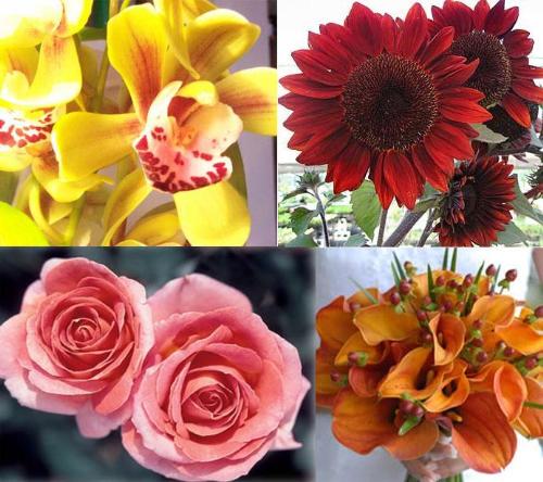 Different Types of Flowers