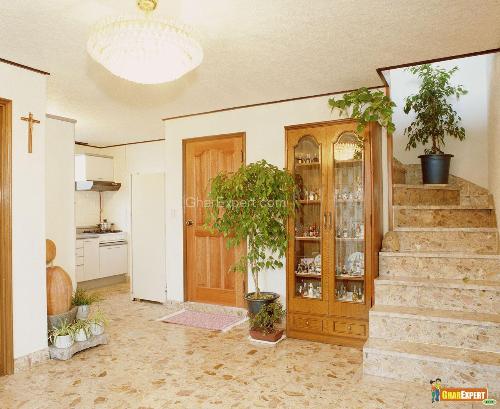 Plants for interior- feel welcoming in your home Plants for interior- feel welcoming in your home