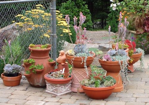 Plant containers in small space garden Plant containers in small space garden