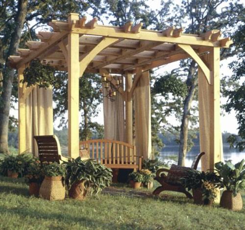 Decorate a pergola with plants