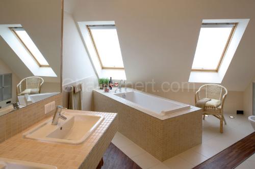 bathroom skylight