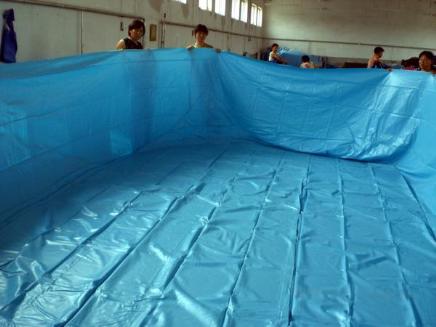 vinyl inground swimming pools