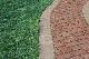 Exterior Decoration -> Garden Path Ideas